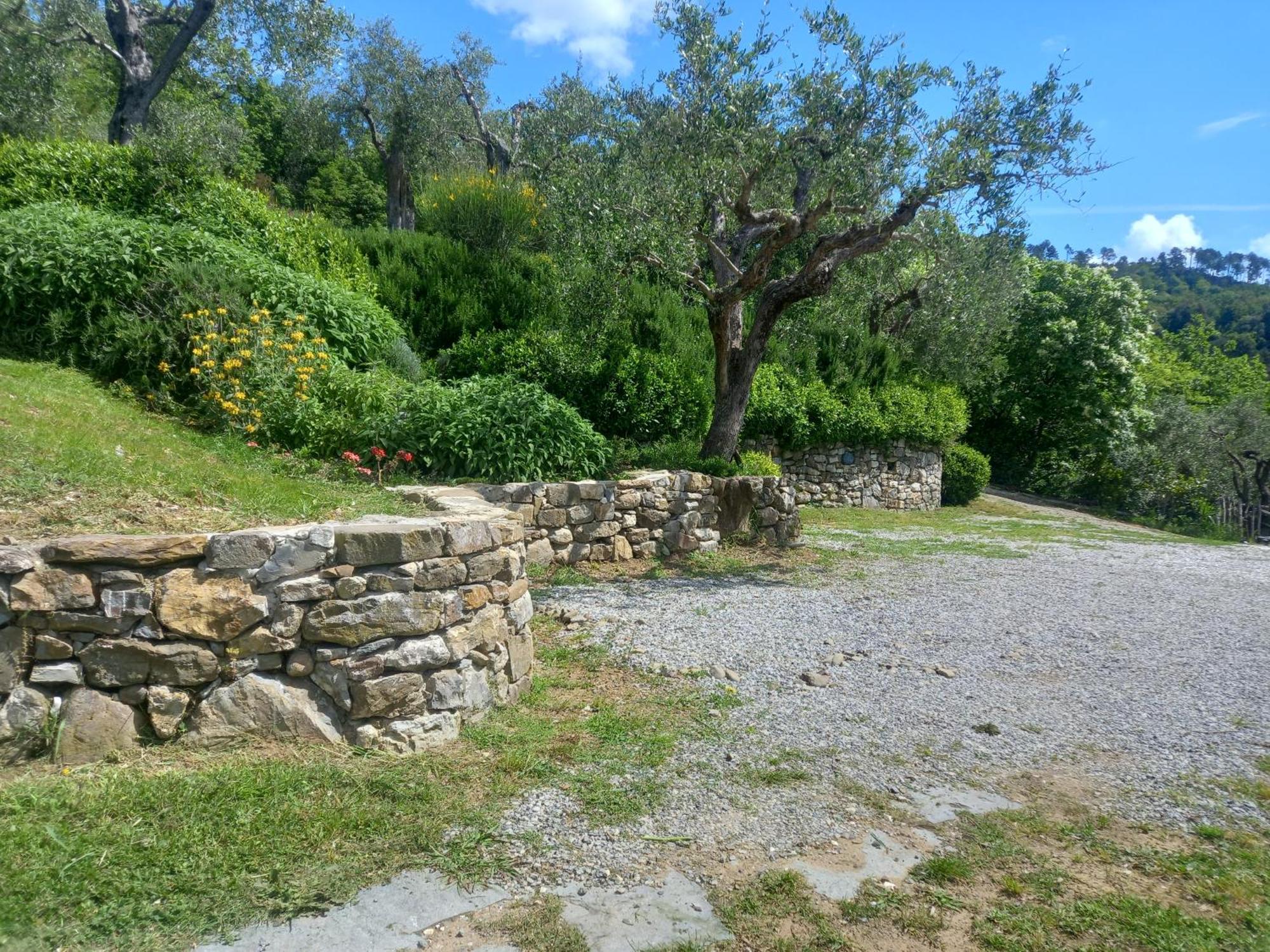 Hotel Il Colle Della Brina Sarzana Exteriér fotografie