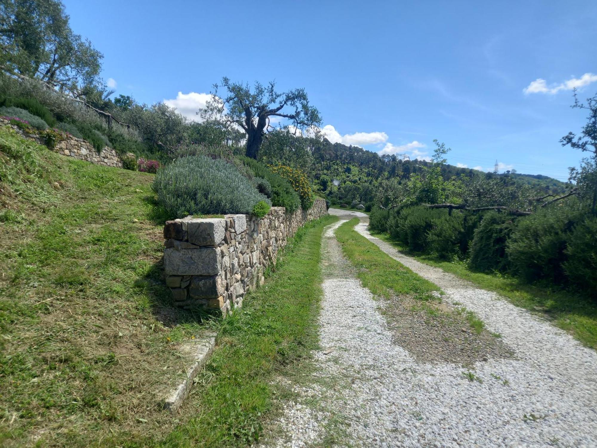 Hotel Il Colle Della Brina Sarzana Exteriér fotografie